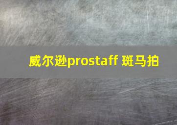 威尔逊prostaff 斑马拍